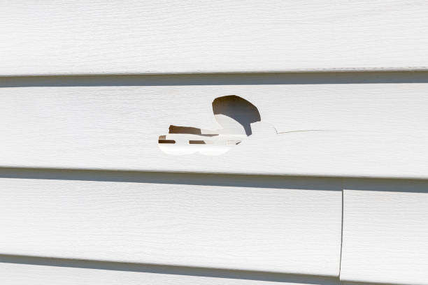 Best Residential Vinyl Siding Installation  in Roebling, NJ