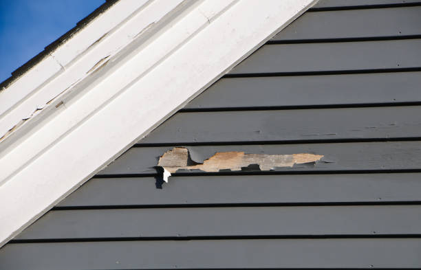 Best Residential Vinyl Siding Installation  in Roebling, NJ